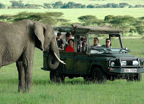  Kenya Tour Itinerary
